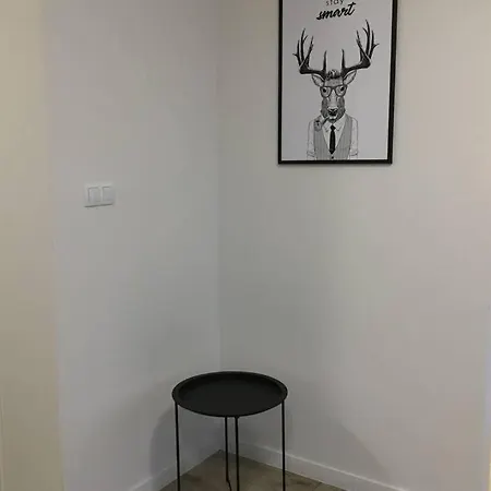 Fibra Americano Rybnik (Silesia)