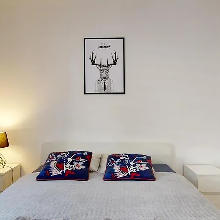 Fibra Americano Apartment Rybnik (Silesia)