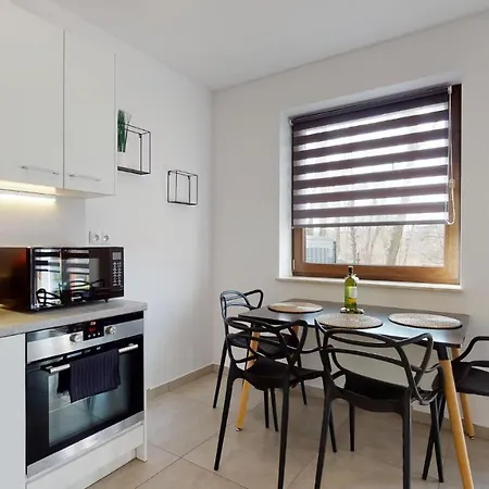 Fibra Americano Apartment Rybnik (Silesia)