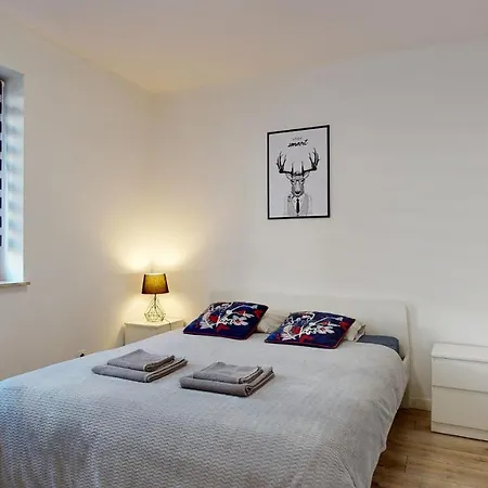 Fibra Americano Apartment Rybnik (Silesia)