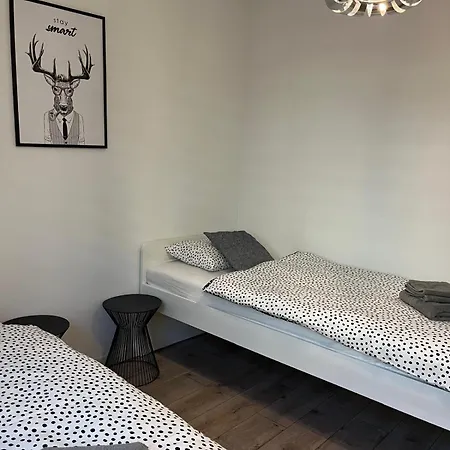 Fibra Americano * Rybnik (Silesia)