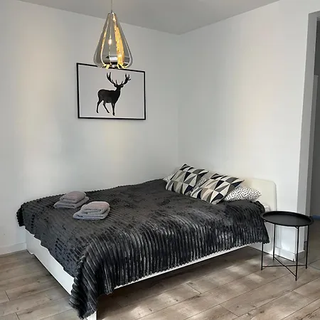 Fibra Americano شقة