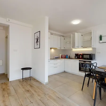 Fibra Americano ريبنيك