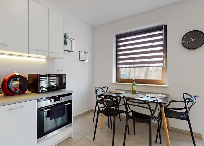 Fibra Americano Apartmán Rybnik (Silesia)