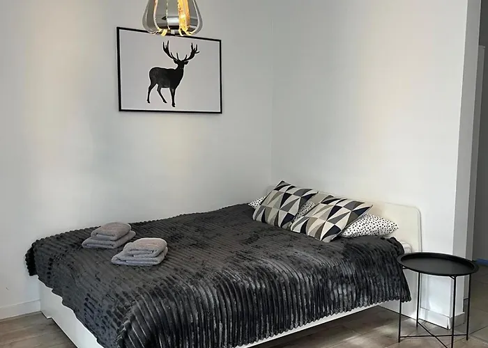 Fibra Americano Apartmán