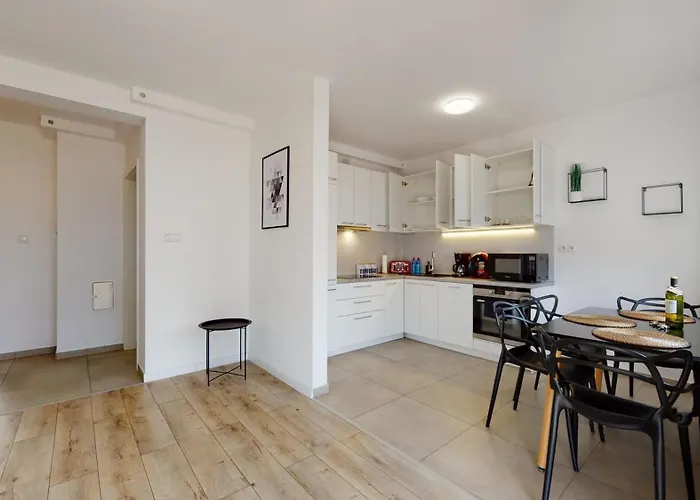 Fibra Americano Rybnik (Silesia)